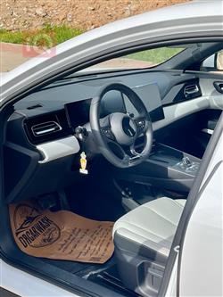 بي واي دي سيل 06 DM-i